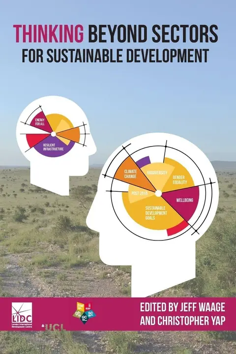 Cover of Thinking Beyond Sectors for Sustainable Development