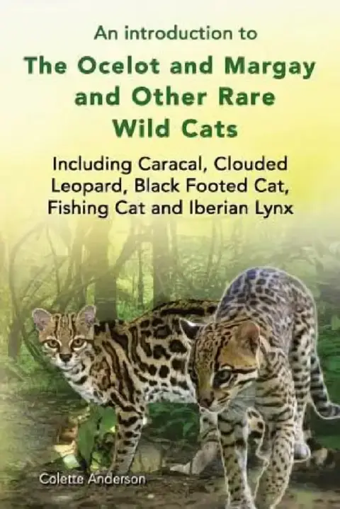 Cover of An introduction to The Ocelot and Margay and Other Rare Wild Cats Including Caracal, Clouded Leopard, Black Footed Cat, Fishing Cat and Iberian Lynx