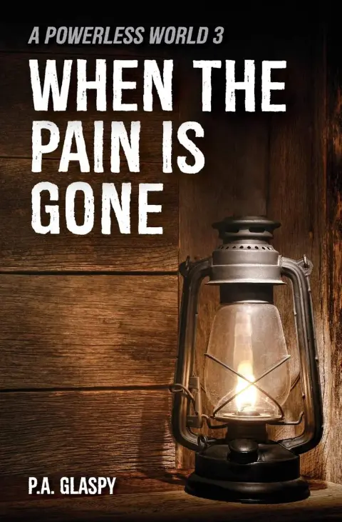 Cover of When the Pain Is Gone
