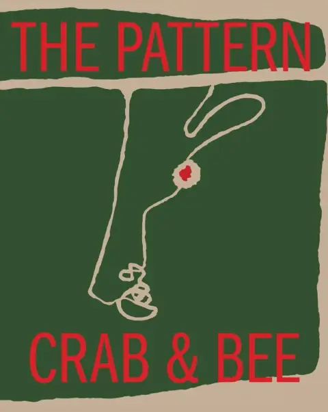 Cover of The Pattern