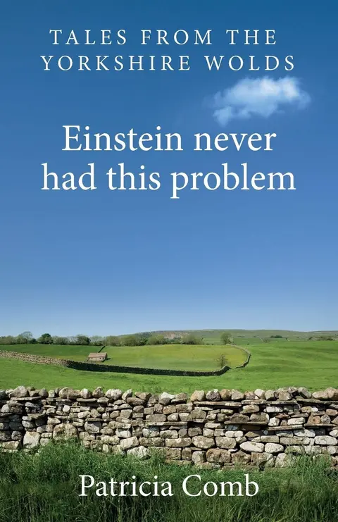 Cover of Einstein never had this problem