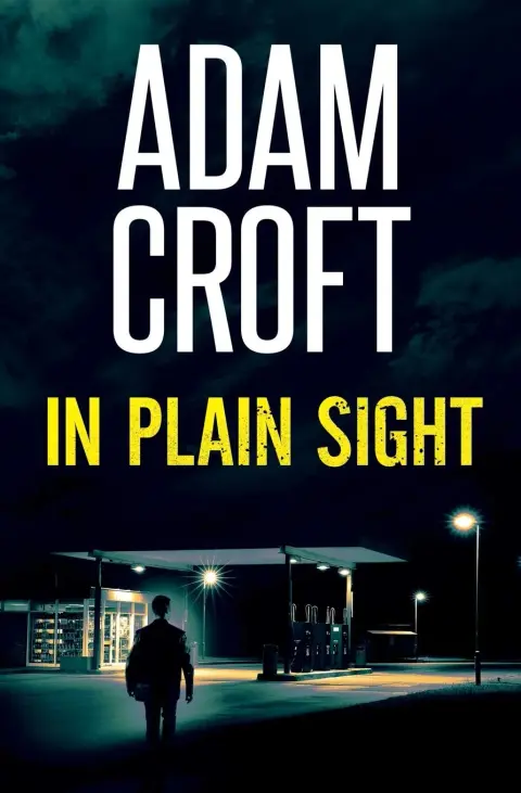 Cover of In Plain Sight