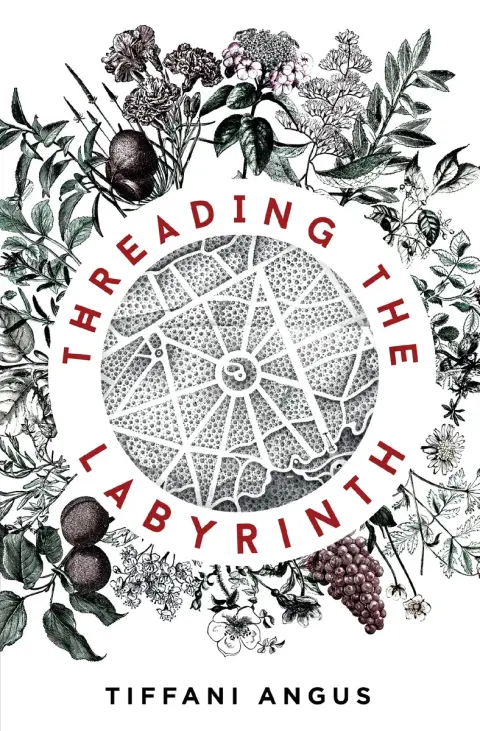 Cover of Threading the Labyrinth