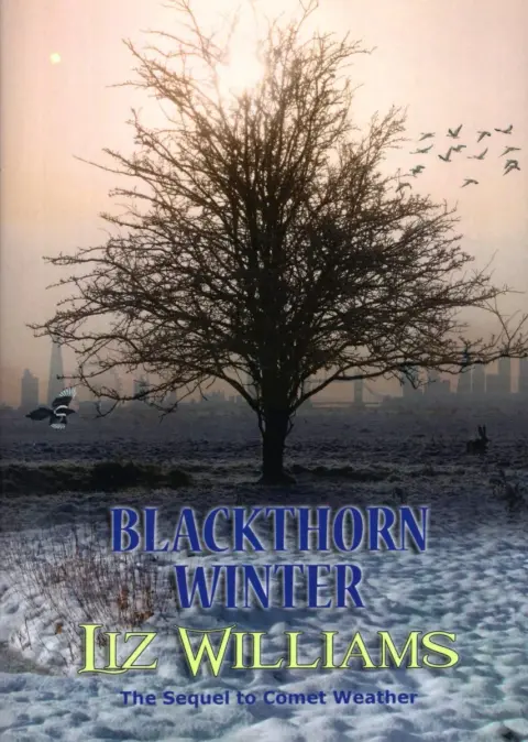 Cover of Blackthorn Winter