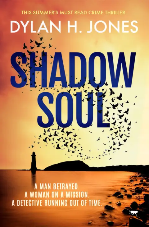 Cover of Shadow Soul