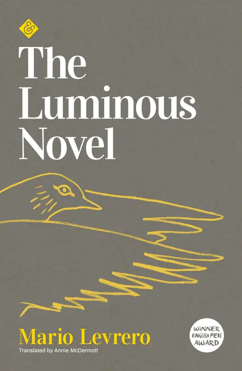Cover of The Luminous Novel