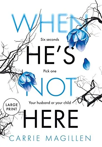 Cover of When He's Not Here