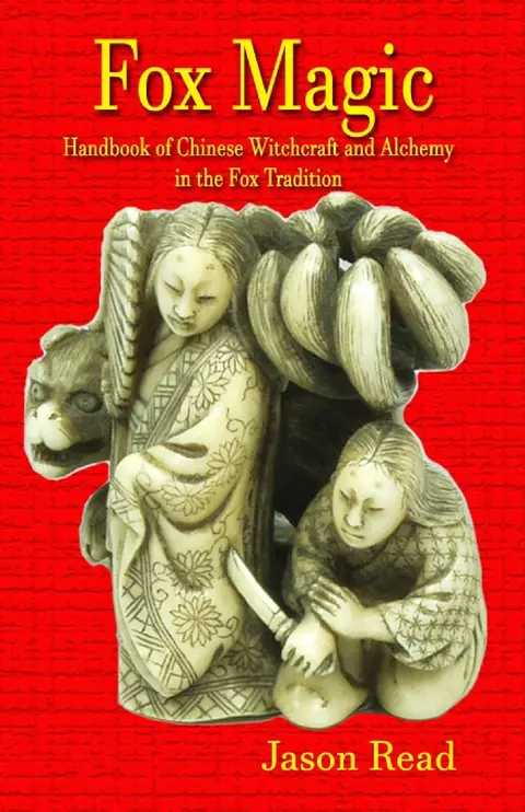 Cover of Fox Magic