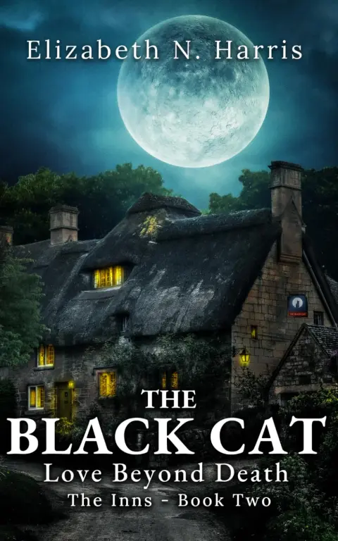 Cover of The Black Cat