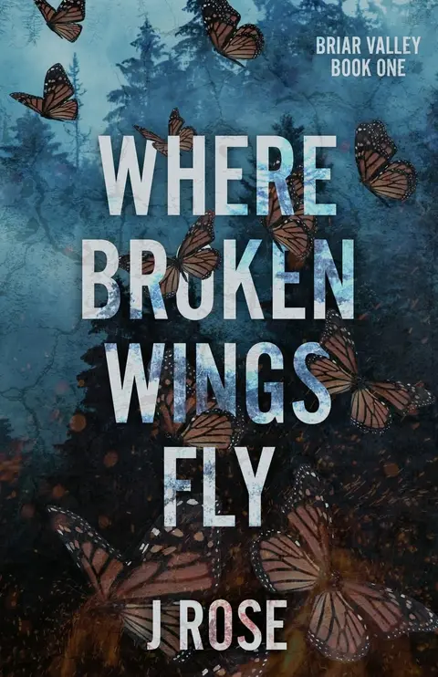 Cover of Where Broken Wings Fly