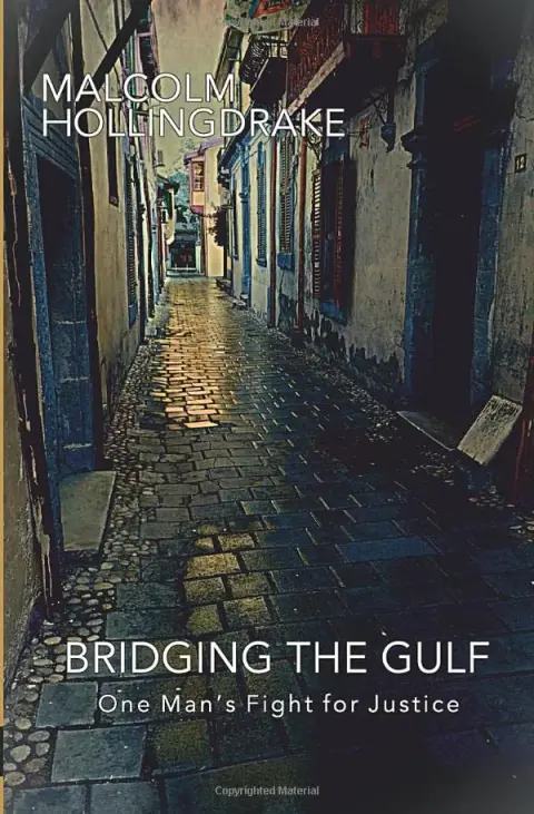 Cover of Bridging the Gulf