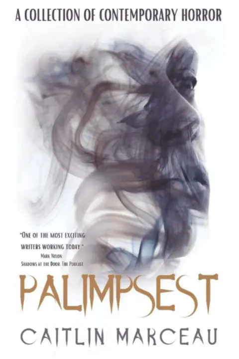 Cover of Palimpsest