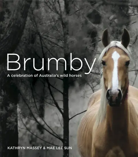 Cover of Brumby