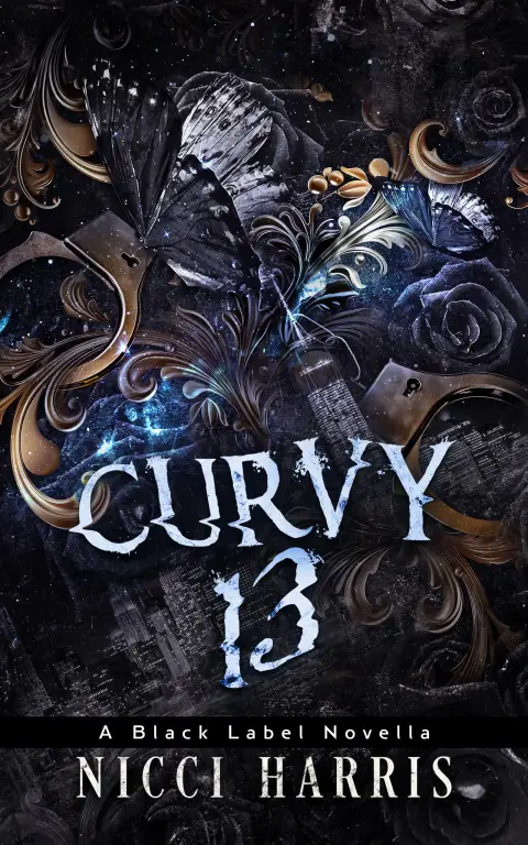 Cover of CurVy 13