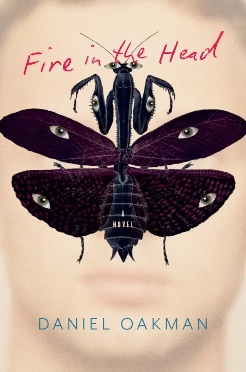 Cover of Fire in the Head