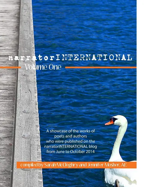Cover of narratorINTERNATIONAL Volume One