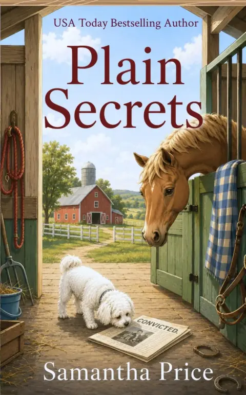 Cover of Amish Mystery