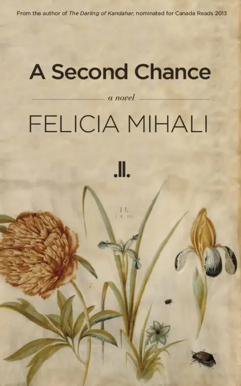 Cover of A Second Chance