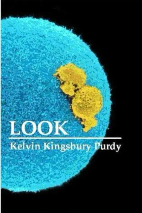 Cover of Look