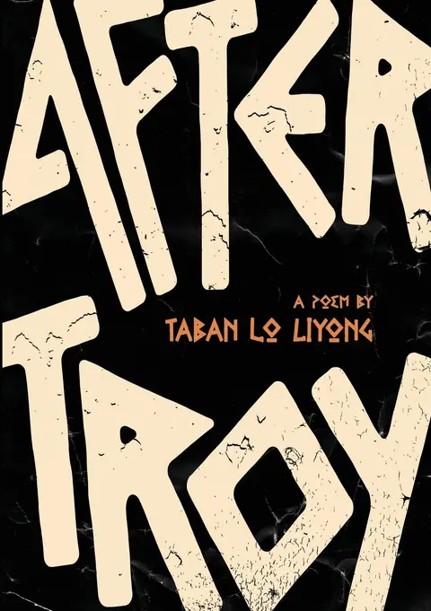 Cover of After Troy