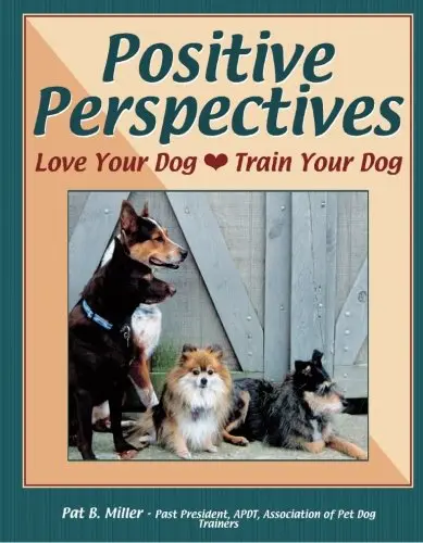 Cover of Positive Perspectives