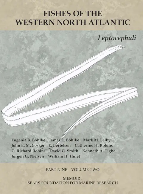 Cover of Leptocephali – Part 9, Volume 2