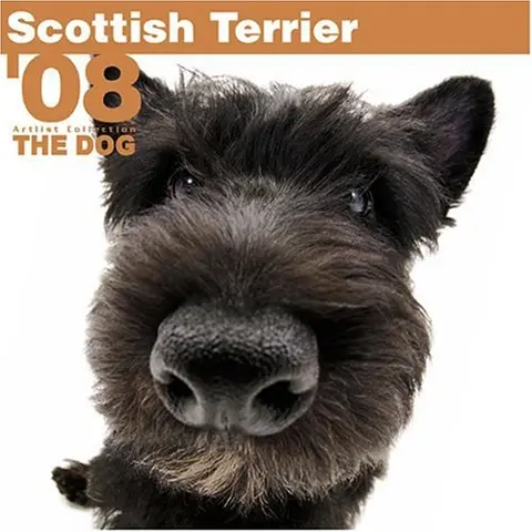 Cover of Scottish Terrier