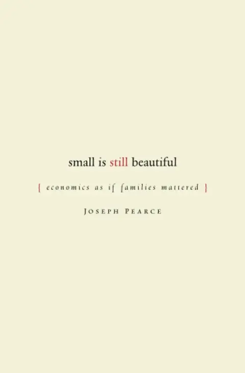 Cover of Small Is Still Beautiful
