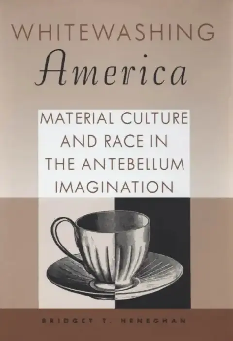 Cover of Whitewashing America