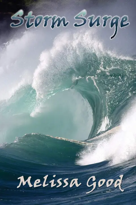 Cover of Storm Surge