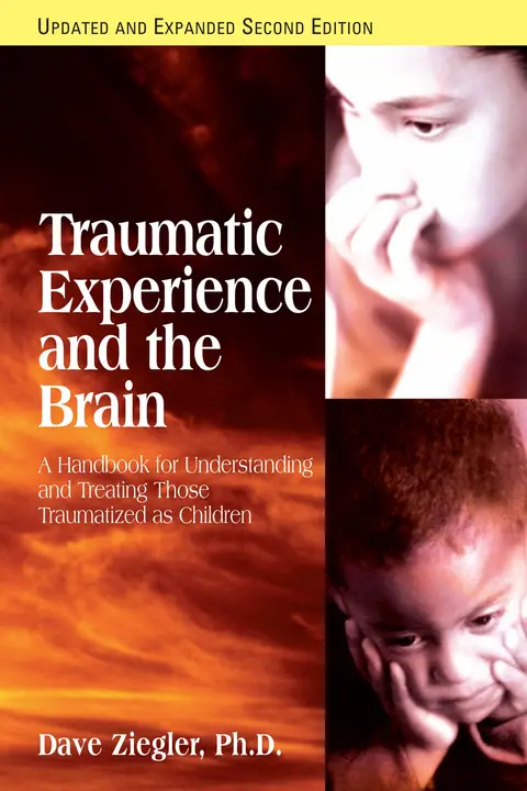 Cover of Traumatic Experience and the Brain
