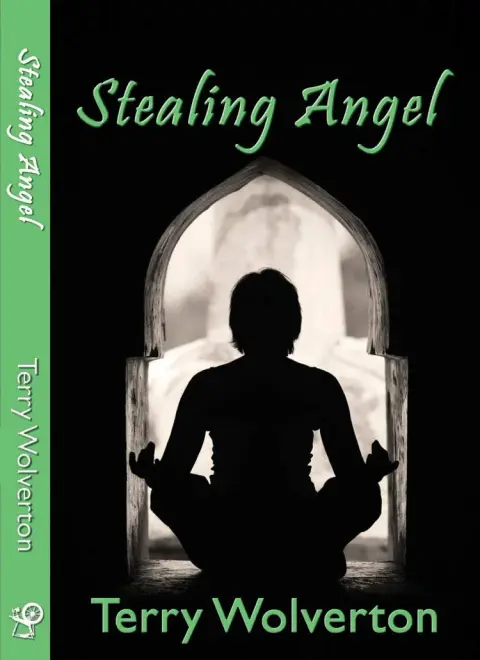 Cover of Stealing Angel