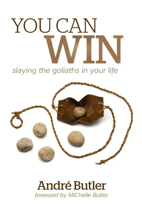 Cover of You Can Win
