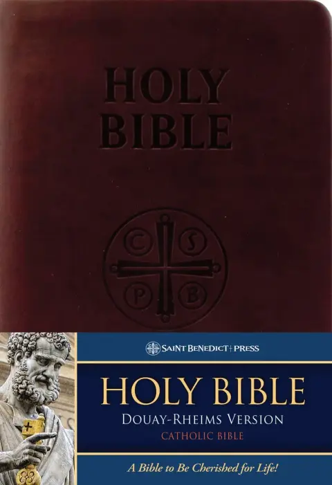 Cover of Holy Bible