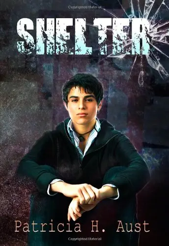 Cover of Shelter