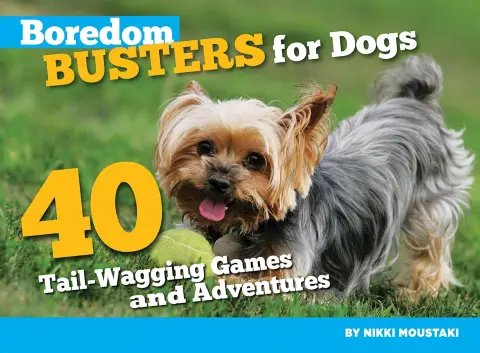 Cover of Boredom Busters for Dogs