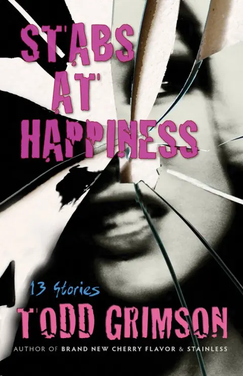 Cover of Stabs at Happiness