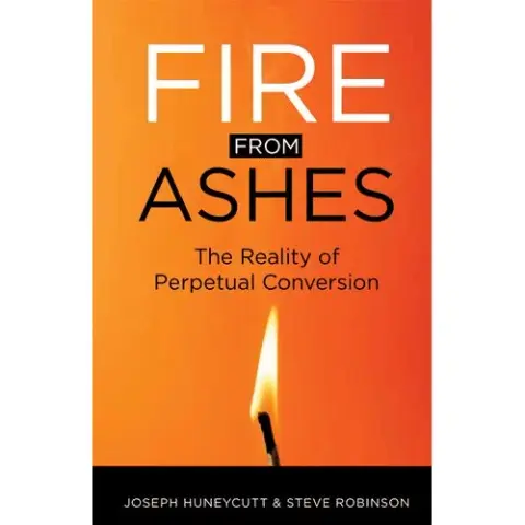 Cover of Fire from Ashes