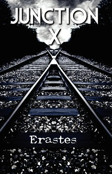 Cover of Junction X