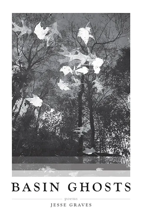 Cover of Basin Ghosts