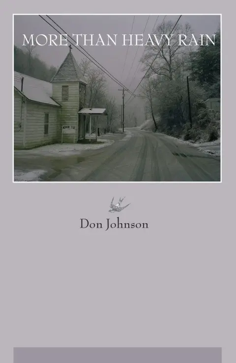Cover of More Than Heavy Rain