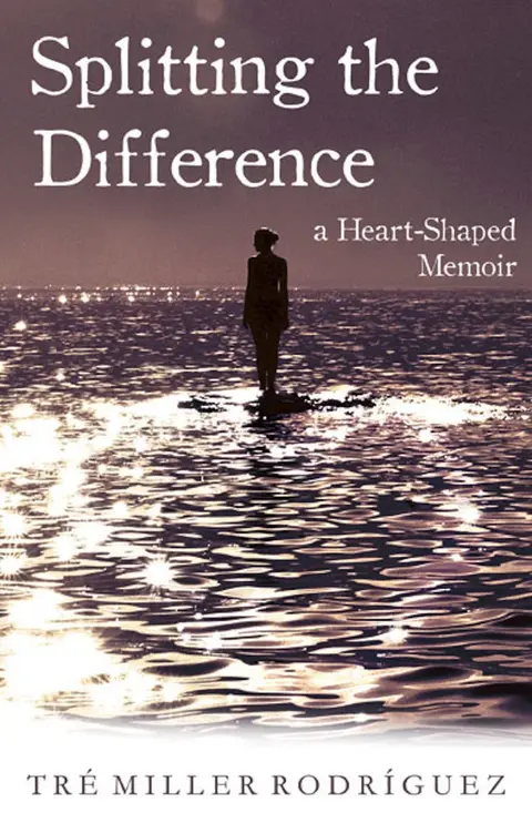 Cover of Splitting the Difference