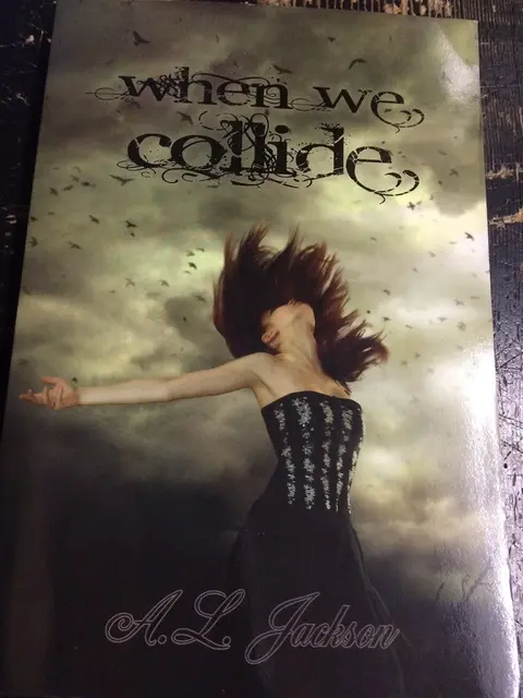 Cover of When We Collide