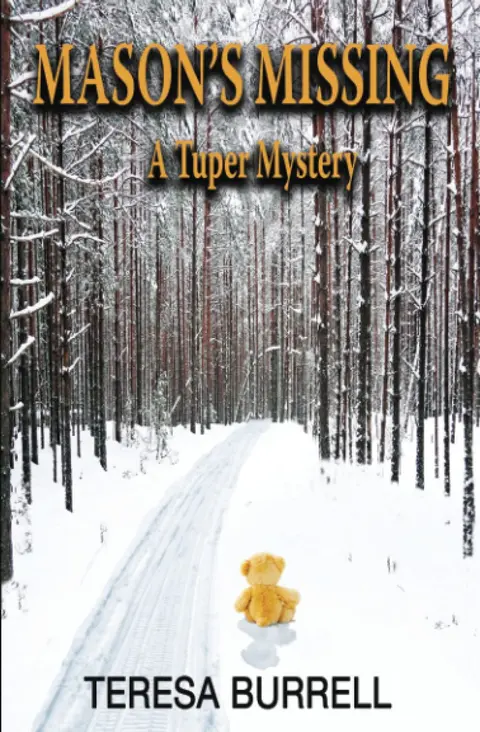 Cover of Mason's Missing