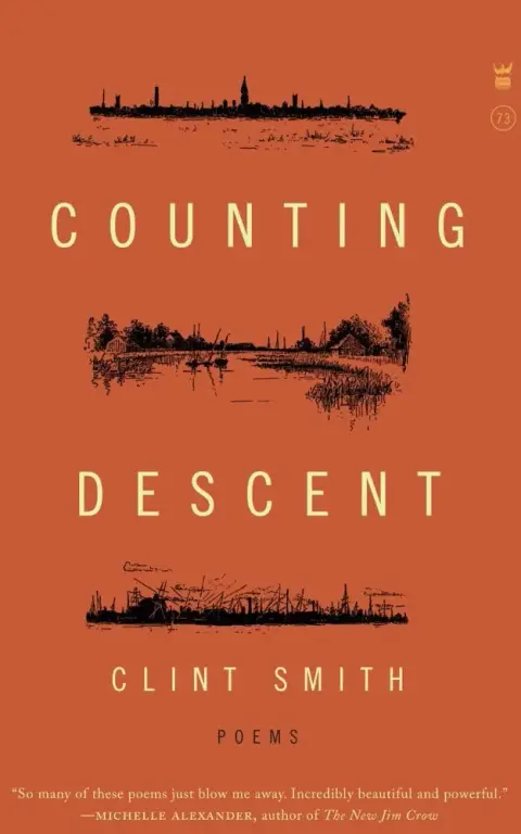 Cover of Counting Descent