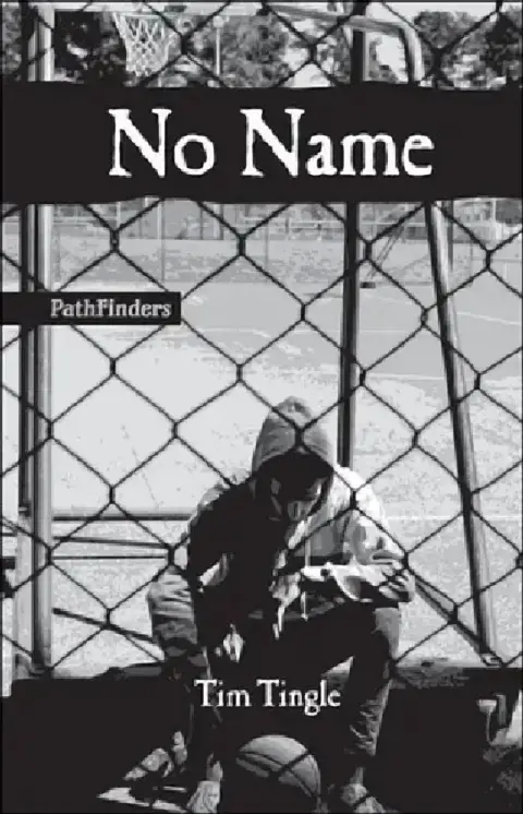 Cover of No Name
