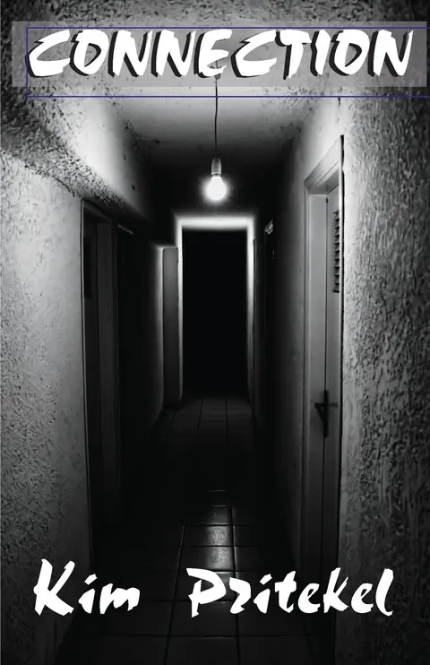 Cover of Connection