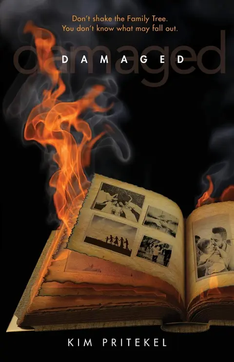 Cover of Damaged