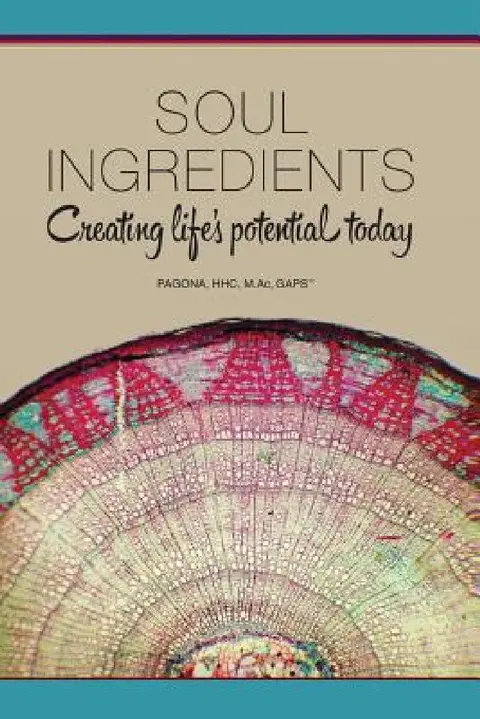 Cover of Soul Ingredients