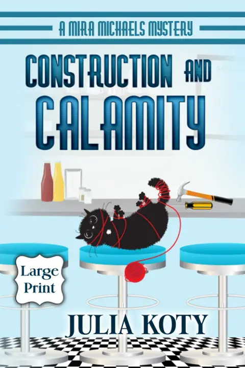 Cover of Construction and Calamity